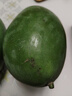 壹萌果蔬凱特芒芒果 當季現摘四川大芒果新鮮水果青芒果整箱送禮 5斤精品果【單果300g+】 凈4.5斤 曬單實(shí)拍圖