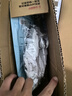 謎姬飛機杯男用陰臀倒模情趣自衛慰器飛機玩具成人性用品名器倒膜臀部全實(shí)體免充氣半身娃娃仿硅膠男性炮架可插入男人發(fā)泄專(zhuān)用抽插解壓男性自用安慰器仿真人1:1 曬單實(shí)拍圖