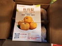 京鮮生山東煙臺萊陽(yáng)秋月梨凈重3斤單果300g  新鮮水果 源頭直發(fā)包郵 曬單實(shí)拍圖