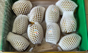 佳沛（zespri）新西蘭  陽光金奇異果25-27粒原箱特大果單果約122-146g  獼猴桃 曬單實(shí)拍圖