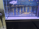 森森（SUNSUN）大型魚缸底過濾水族箱客廳家用落地玻璃生態(tài)金魚缸 【實時溫顯+燈控】經(jīng)典黑 1.2米長35cm寬 曬單實拍圖