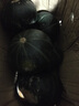 京鮮匠山東貝貝南瓜正宗 栗香小南瓜 香甜粉糯老瓜 蔬菜源頭產(chǎn)地直發(fā) 精品裝 凈 4.5斤 曬單實(shí)拍圖
