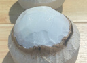 佳沃 JOYVIO泰國(guó)進(jìn)口椰青香水椰子 4個(gè)裝大果900g+ 水果禮盒 源頭直發(fā) 曬單實(shí)拍圖