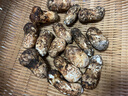 土地母親計劃 雅江松茸菌未開傘新鮮松茸鮮菌菇冷鏈空運現(xiàn)貨快至24H達團購送禮 出口級未開傘 5-5.8cm 凈重500g 曬單實拍圖