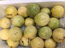 京鮮生廣西欽蜜9號黃金百香果3斤凈重45-60g /24-36個生鮮水果 源頭直發(fā) 曬單實拍圖