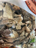 沛沛佳 鹿茸菇干貨500g 云南特產(chǎn)煲湯炒菜火鍋食用 源頭直發(fā) 曬單實(shí)拍圖