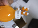 【熱銷(xiāo)暢飲】沙棘汁整箱6瓶果汁飲品360ml大瓶沙棘風(fēng)味飲料夏季 360ml*6瓶 曬單實(shí)拍圖