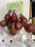 京鮮生 山西紅啤梨 凈重4.5斤 單果重130g+ 新鮮水果 源頭直發(fā) 曬單實(shí)拍圖