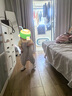 爬爬（papa）爬爬夏季幼童爬服寶寶涼感透氣連體衣條紋吊帶短爬舒適可愛(ài) 灰色 100cm 曬單實(shí)拍圖
