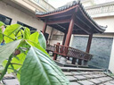 涼亭戶(hù)外庭院花園景觀(guān)防腐木亭子別墅仿古實(shí)木六角亭定制木屋長(cháng)廊 卡其色 2.8米六角常規涼亭 曬單實(shí)拍圖