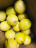 戀果樂欽蜜9號黃金百香果新鮮現(xiàn)摘大果酸甜熱帶水果一級果福建海 2斤特大果（90g以上） 曬單實(shí)拍圖