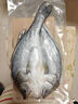 鮮京采三去海鱸魚(yú)3斤/3條 生鮮魚(yú)類(lèi) 白蕉鱸魚(yú)地標 無(wú)冰凈重3斤 源頭直發(fā) 曬單實(shí)拍圖
