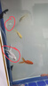 錦鯉魚(yú)活體觀(guān)賞魚(yú)活魚(yú)小型易養冷水淡水魚(yú)小魚(yú)苗錦鯉金魚(yú)好看錦鯉 6-8cm 六色錦鯉套餐6條 曬單實(shí)拍圖
