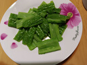 FOREVERK日本原裝進口陶瓷刀家用刀具廚房水果刀削皮刀輔食刀多功能三德刀 陶瓷刀NCS系列豆沙紅三德刀150mm 曬單實拍圖