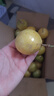 海南百香果廣西百香果 變黃變皺皮更甜 泡水喝 生吃 調(diào)味新鮮水果 30個(gè) 曬單實(shí)拍圖