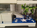 Barbarous Growth寄居蟹飼養箱帶曬臺亞克力生態(tài)小型家用造景全套相手蟹螃蟹水陸缸 缸+曬臺+蓋子+禮包【中號】 曬單實(shí)拍圖