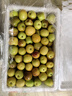 【脆甜多汁】新鮮采摘大荔冬棗當季水果脆棗鮮棗青棗整箱包郵 帶箱3斤（單果12-16g） 曬單實(shí)拍圖