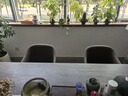 真緣現代簡(jiǎn)約家用實(shí)木餐椅北歐餐廳輕奢椅子靠背咖啡廳酒店吃飯凳子 高級灰黑色腿 耐磨皮無(wú)扶手 曬單實(shí)拍圖