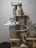 皇家派特大型實(shí)木貓爬架貓窩貓樹(shù)一體四季通用貓架子貓跳臺貓抓板貓咪用品 S52實(shí)木板材+爬柱【50太空艙】 曬單實(shí)拍圖