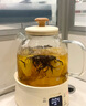 小熊（Bear）全玻璃壺體養(yǎng)生壺恒溫壺 辦公室多功能煮茶壺花茶壺 0金屬養(yǎng)生杯 24h預(yù)約24h保溫 1.5L YSH-H15L2 曬單實(shí)拍圖