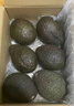 進(jìn)口哈斯牛油果鱷梨新鮮水果現貨包郵 100-130克8個(gè) 曬單實(shí)拍圖