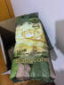 babycare金山茶花紙尿褲M50片(6-11kg)嬰兒尿不濕超薄透氣新生柔花苞褲 曬單實(shí)拍圖