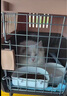 獒少?！編焱?墊板】寵物航空箱大號狗貓托運箱貓咪狗狗航空箱運輸箱 二號 建議20斤以內(nèi) 曬單實拍圖