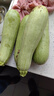 新鮮西葫蘆角瓜新鮮蔬菜三月瓜 新鮮西葫蘆 3斤 暢銷(xiāo)裝 曬單實(shí)拍圖