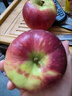 云南昭通丑蘋(píng)果冰糖心蘋(píng)果水果新鮮紅露應當季紅富士脆甜整箱包郵 5斤【現摘現發(fā)】 【單果50-59mm】脆甜爽口 曬單實(shí)拍圖