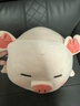 名創(chuàng)優(yōu)品（MINISO）小豬B-BO彈力超柔趴姿毛絨公仔玩偶抱枕玩具女友生日七夕禮物女 曬單實(shí)拍圖