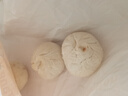 京東京造 嵊州老面鮮肉小籠包800g 約29個(gè)手工包制 速食早餐包子 曬單實(shí)拍圖