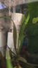 坤寧王魚(yú)缸過(guò)濾器循環(huán)泵三合一增氧氣泵吸糞壁掛式小型靜音凈化系統(tǒng)4W 曬單實(shí)拍圖