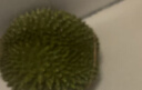 什果樂(lè )貓山王榴蓮（D197）馬來(lái)西亞進(jìn)口帶殼整果液氮冷凍水果禮盒 尊選果凈重3.5-4.0斤（包4房） 曬單實(shí)拍圖