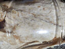 農(nóng)香森 深海鱈魚片500g海味休閑小魚干魚零食禮包烤魚片孕婦海鮮即食 曬單實(shí)拍圖
