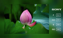 索尼（SONY）E 70-350mm F4.5-6.3 G OSS APS-C畫(huà)幅超遠(yuǎn)攝變焦G鏡頭 SEL70350G 曬單實(shí)拍圖