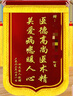 高檔金絲絨錦旗加厚定制感謝醫生送老師幼兒園駕校教練月嫂仙家旌 加厚金絲絨水晶配件+鍍金字+錦筒 80*1.2米（大號） 曬單實(shí)拍圖