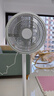艾美特（AIRMATE）【重磅新品】七葉家用大風(fēng)量落地扇電風(fēng)扇臺(tái)式桌面空氣循環(huán)小風(fēng)扇大角度搖頭節(jié)能電扇 FS30-X97 曬單實(shí)拍圖