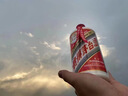 茅臺 2016年 飛天 醬香型白酒 53度500ml 單瓶裝 陳年老酒 中秋送禮 曬單實(shí)拍圖