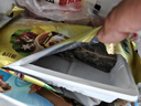 灣仔碼頭珍味蠔油糯米雞450g6只裝早餐半成品食品面點 曬單實拍圖