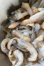 鮮享純新鮮速凍大號蟶子肉新鮮捕撈鮮剝無(wú)沙去殼純肉蟶子肉冷凍竹節蟶 1250g 冷凍蟶子肉每包1.25斤共2.5斤 曬單實(shí)拍圖