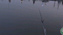 小鳳仙咬鉤變色夜光漂S-DI11大圣而歸水晶硬尾浮漂高靈敏鯽魚(yú)漂深水綜合 曬單實(shí)拍圖