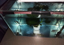YEE超白魚(yú)缸桌面客廳生態(tài)斗金魚(yú)烏龜缸造景小型水草養魚(yú)玻璃裸缸50cm 曬單實(shí)拍圖