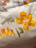 米婭東方顏彩中國畫(huà)固體24色國畫(huà)顏料初學(xué)者用品工具固體國畫(huà)藤黃鈦白毛筆宣紙水彩水墨畫(huà)礦物學(xué)生專(zhuān)用 固體國畫(huà)顏料套裝-24色-四君子-竹 米婭-東方顏彩 曬單實(shí)拍圖