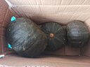粵迎山東貝貝南瓜板栗口感源頭直發(fā)香甜兒童輔食美味粗糧新鮮蔬菜生鮮 5斤 精選裝【香甜粉糯】?jī)?.5斤 曬單實(shí)拍圖