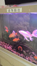 森森（SUNSUN）魚食錦鯉金魚小顆粒飼料魚糧龜糧 4mm中顆粒錦鯉飼料（含螺旋藻）1000g瓶裝 曬單實(shí)拍圖