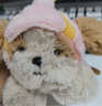 babycare毛絨玩偶生日禮物女生兒童鑰匙扣掛件飾品歐陽(yáng)娜娜同款馬爾泰 曬單實(shí)拍圖