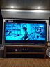 小米電視85英寸S MiniLED Ultra 4+64G 1200nits智慧屏大屏平板彩電家庭影院 L85MB-SPL 曬單實拍圖