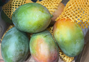 京鮮生 攀枝花凱特芒 凈重8.5斤 帶箱9斤 單果600g+ 生鮮水果 源頭直發(fā) 曬單實(shí)拍圖