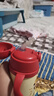 杯具熊（BEDDYBEAR）兒童保溫杯原裝配件 學(xué)飲杯咬合吸嘴吸管（2套裝） 曬單實(shí)拍圖