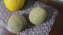 京鮮生 網(wǎng)紋蜜瓜 2粒裝 凈重4-5斤 單果2斤起 生鮮水果禮盒 曬單實(shí)拍圖